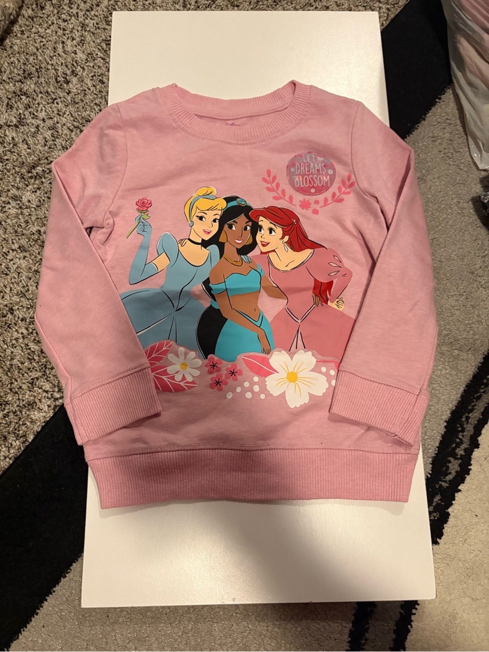 Disney Girls Pink Princess Pullover